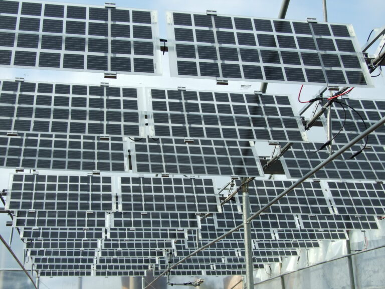 Read more about the article The challenges of Agro-Photovoltaics systems installation in greenhouses