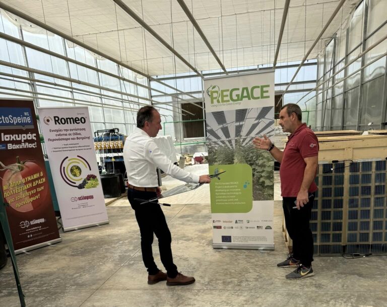 Read more about the article REGACE showcased during open day in Pilot Greenhouse Park of the University of Thessaly