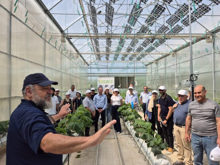 Read more about the article REGACE Project wraps up a successful General Assembly in Volos, Greece