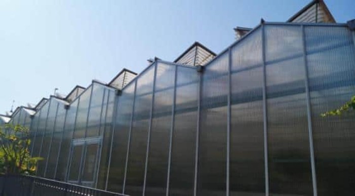 BOKU Testing site