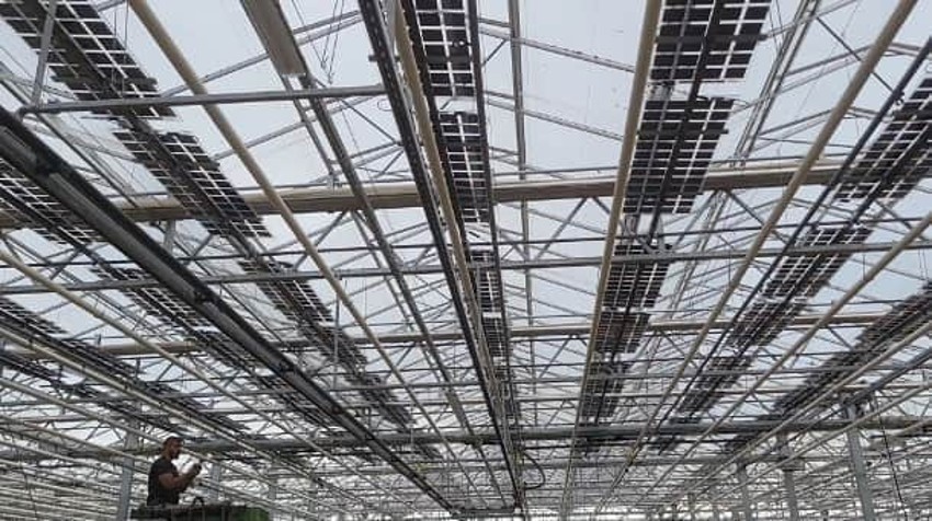 Watzkendorf greenhouse site