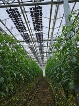 Watzkendorf greenhouse